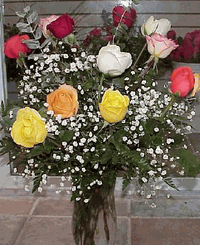 Dozen Mixed roses