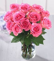 Dozen Pink Rose