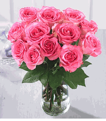 Dozen Pink Rose