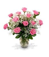 Dozen Pink Roses, 