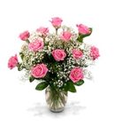 Dozen Pink Roses, 