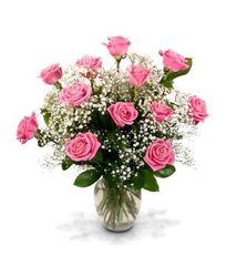Dozen Pink Roses, 