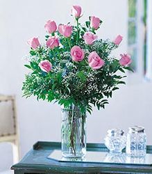 Dozen Pink Roses