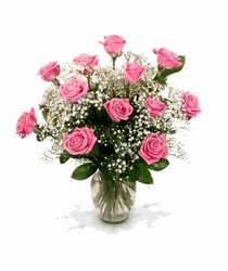 Dozen Pink Roses, 
