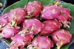 Dragon_Fruit 1kg