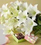 Easter Lily Bouquet 
