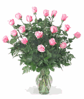 Eighteen premium long stemmed roses
