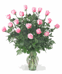 Eighteen premium long stemmed roses