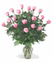 Eighteen premium long stemmed roses