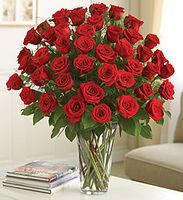 Elegance Premium Long Stem Red Roses