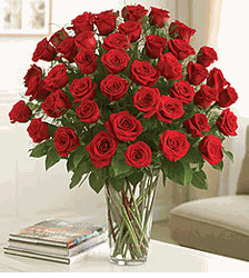 Elegance Premium Long Stem Red Roses
