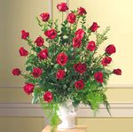 Elegant Rose Tribute