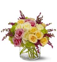 Enchanted Roses