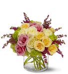 Enchanted Roses