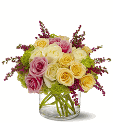 Enchanted Roses