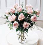 Enchanting Rose 
