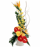 Exotic Arrangement