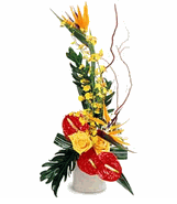Exotic Arrangement