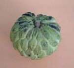 Exotic Fruits - Sweet Sop, Custard Apple 