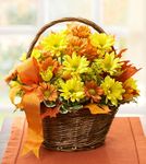Fall Daisy Basket 