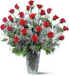 Field of Roses