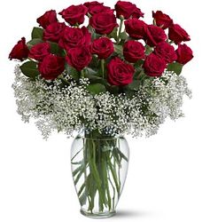  Field of Roses 