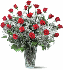 Field of Roses