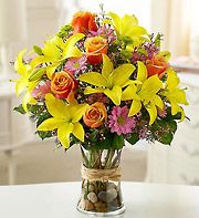 Fields of Europe Arrangement