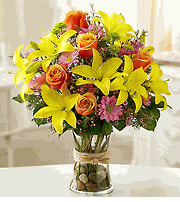 Fields of Europe� Arrangement
