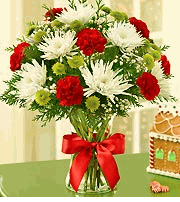 Fields of Europe� for Christmas 