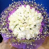 Fifty White rose
