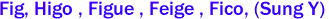 Fig, Higo , Figue , Feige , Fico, (Sung �) 