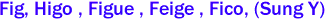 Fig, Higo , Figue , Feige , Fico, (Sung �) 