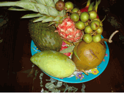 Five fruits tray 