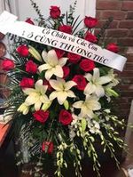 Florist Vietnamese Hoa Tang Le100