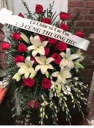 Florist Vietnamese Hoa Tang Le100