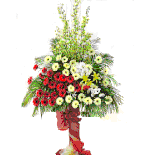 Flower Congrat 001