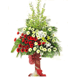 Flower Congrat 001