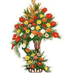 Flower ConGrat 006