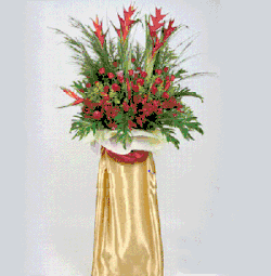 Flower congrat 04