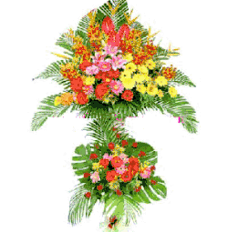 Flower Congrat 05