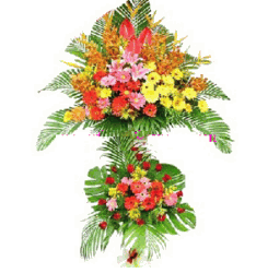 Flower Congrat 05