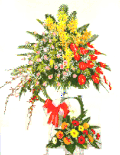 Flower congrat 08