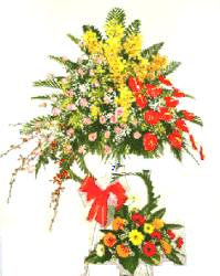 Click to enlarge