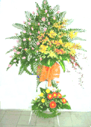 Click to enlarge