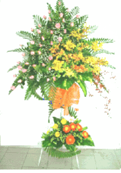 Flower Congrats 07