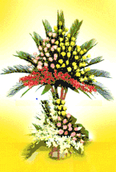Click to enlarge