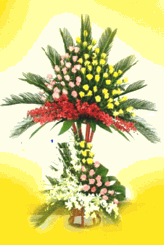 Flower Congrats 10