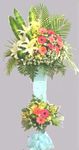 Flower congrats