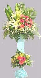 Flower congrats